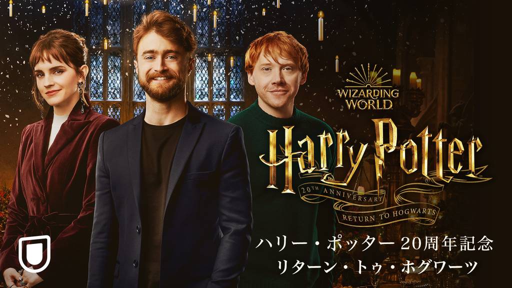 88％以上節約 ハリーポッター 分霊箱 トム リドルの日記 Harry Potter